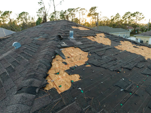 Steel Roofing in Belpre, OH
